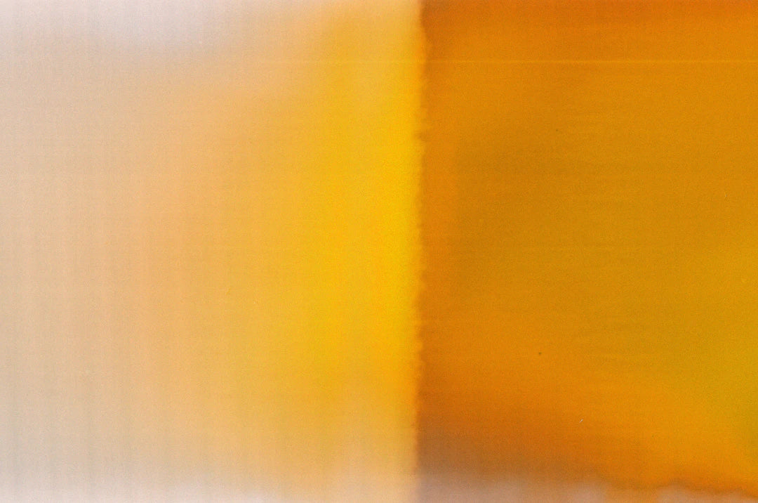 Blooming Creativity Nature-Inspired Floral Patterns in Fashion