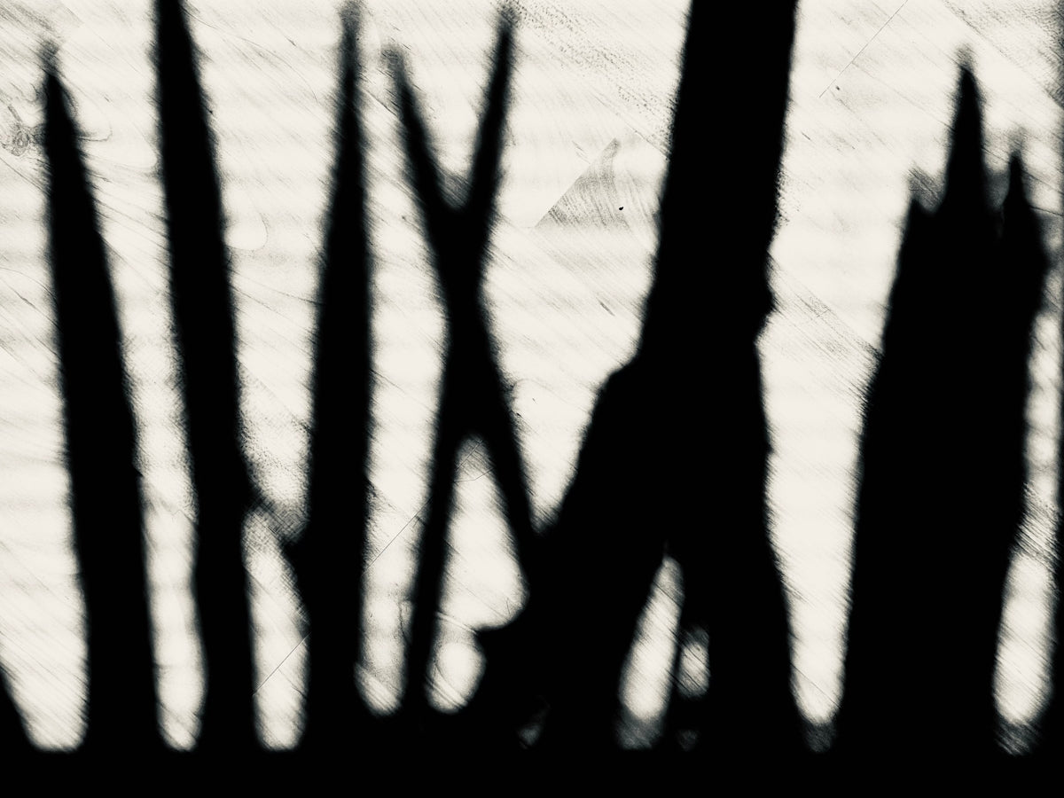 a group of trees