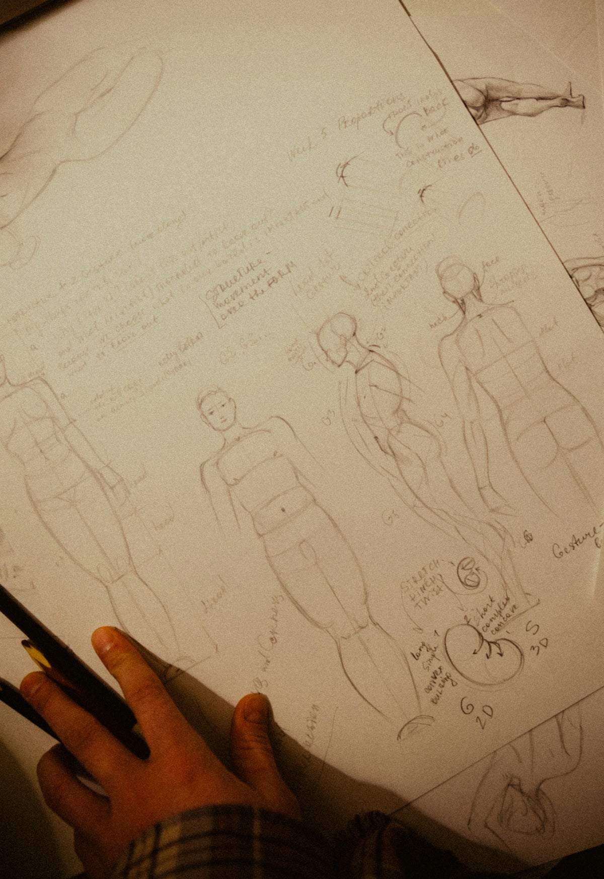 Sketches of human anatomy with notes and pencils.