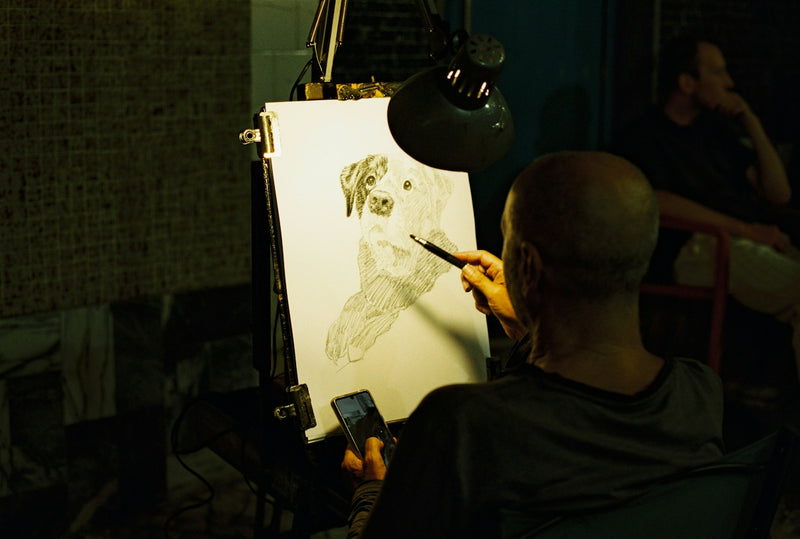 A person drawing a dog portrait on paper under a bright desk lamp